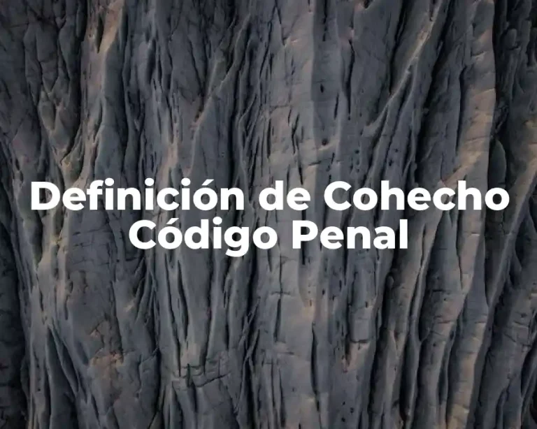 Definición de Cohecho Código Penal