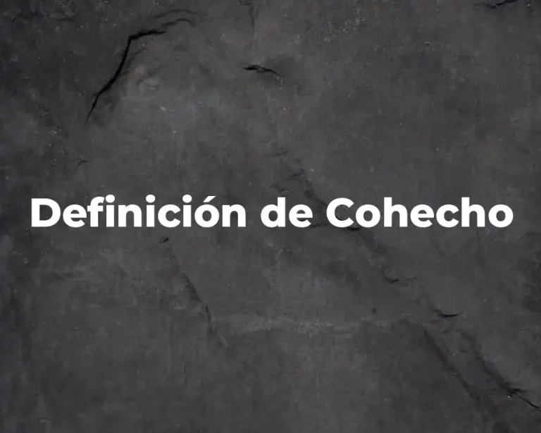 Definición de Cohecho