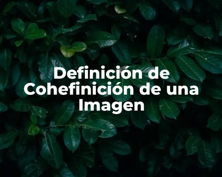 Definición de Cohefinición de una Imagen
