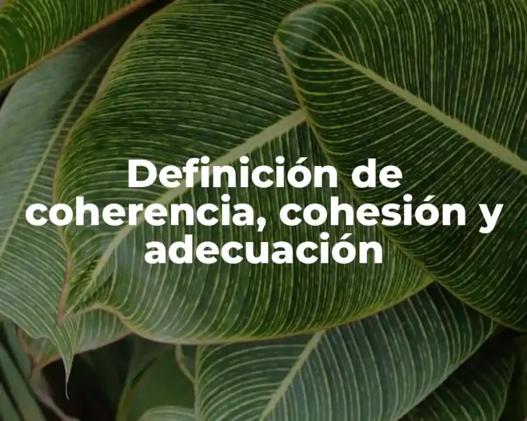 Definición de coherencia, cohesión y adecuación