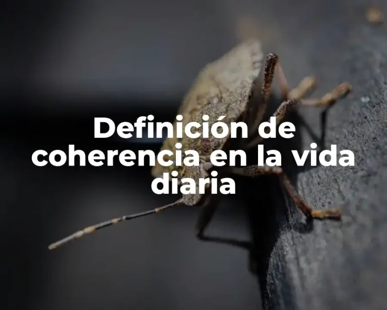 Definición de coherencia en la vida diaria