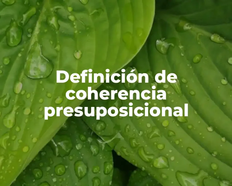 Definición de coherencia presuposicional