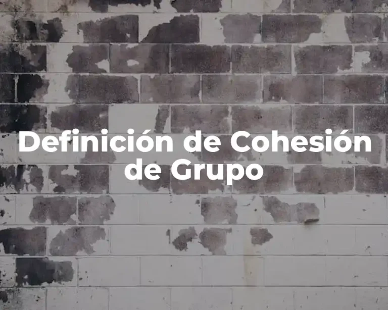 Definición de Cohesión de Grupo