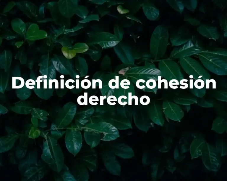 Definición de cohesión derecho