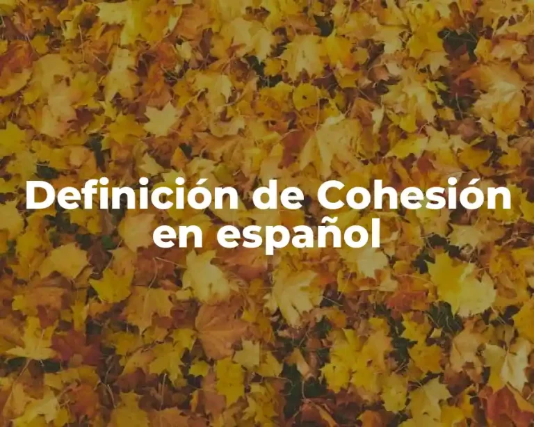 Definición de Cohesión en español