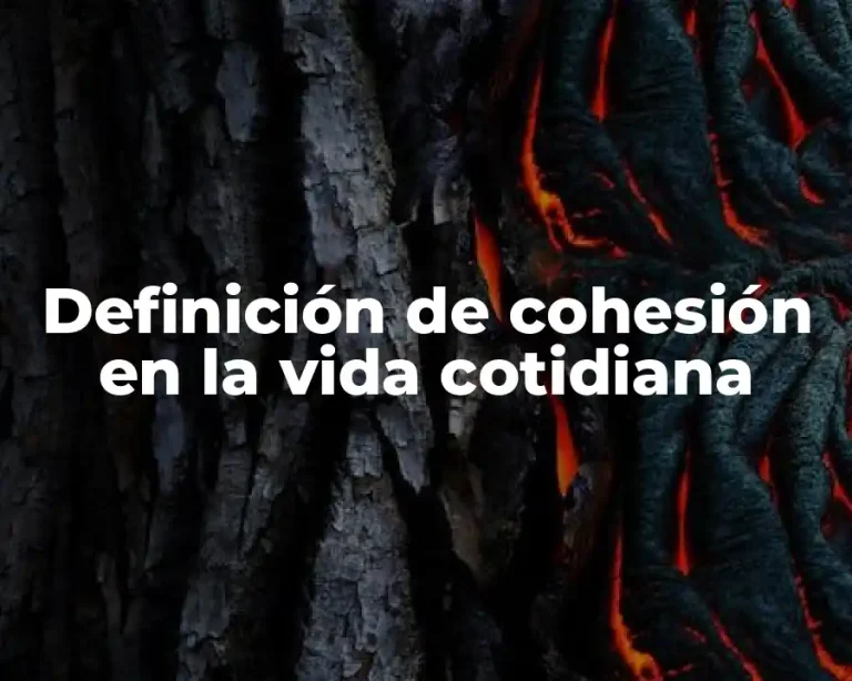 Definición de cohesión en la vida cotidiana