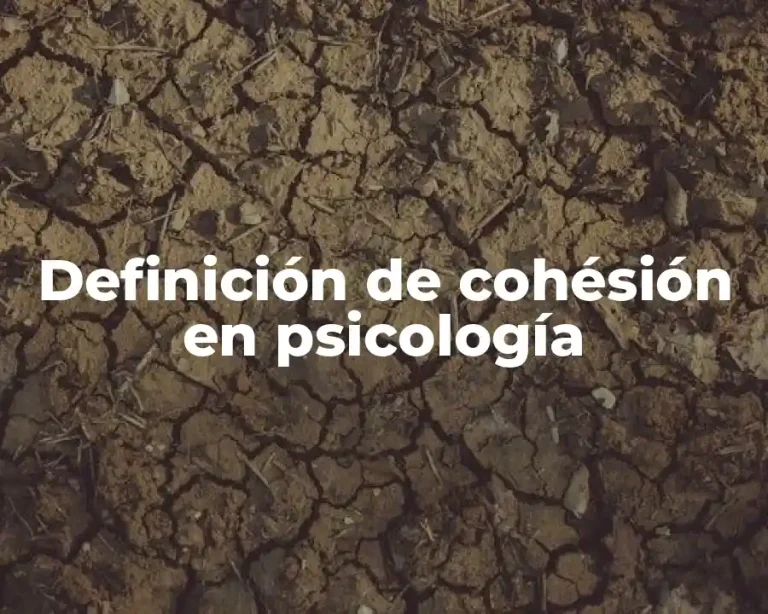 Definición de cohésión en psicología
