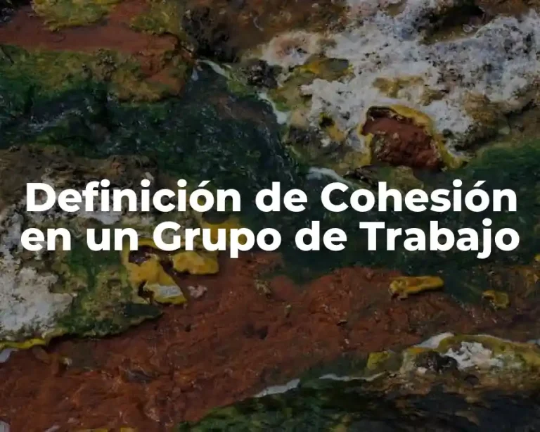 Definición de Cohesión en un Grupo de Trabajo