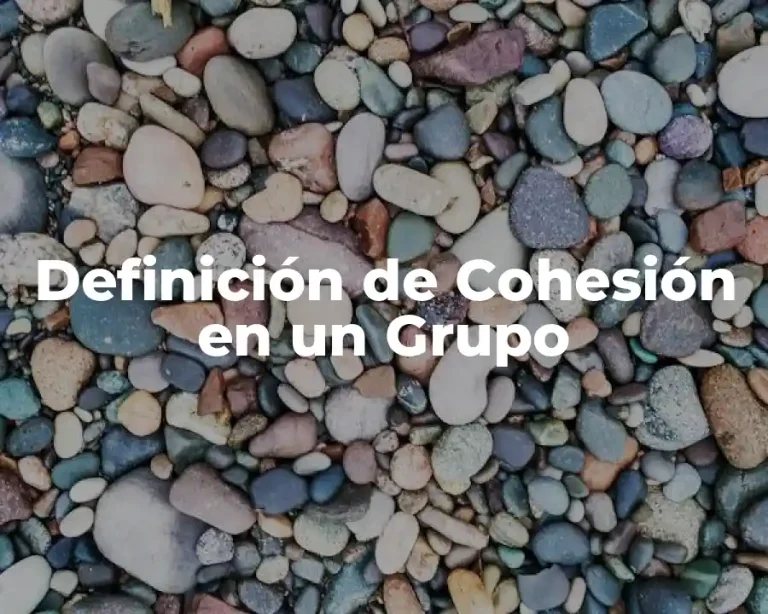 Definición de Cohesión en un Grupo