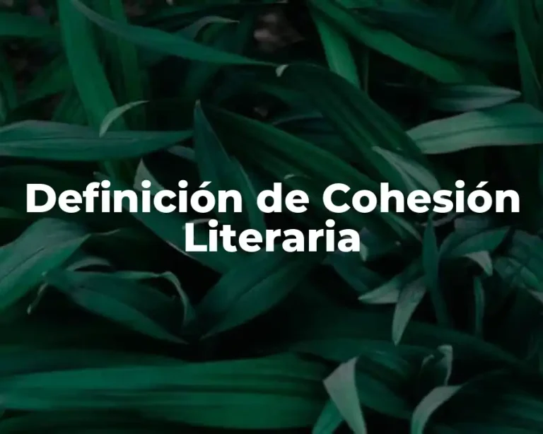 Definición de Cohesión Literaria