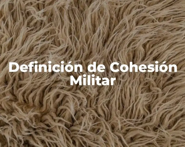 Definición de Cohesión Militar