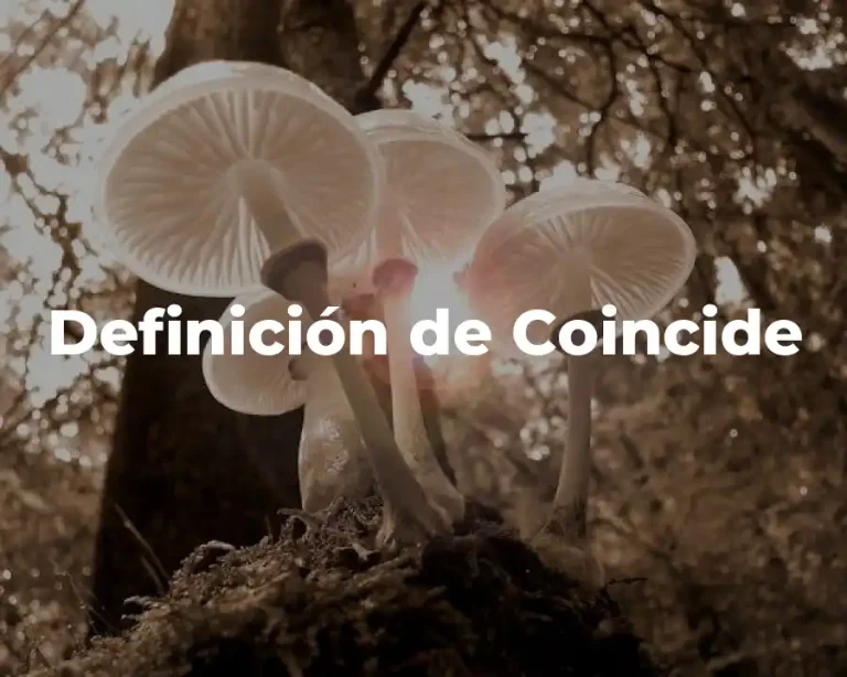 Definición de Coincide