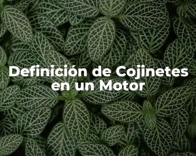 Definición de Cojinetes en un Motor