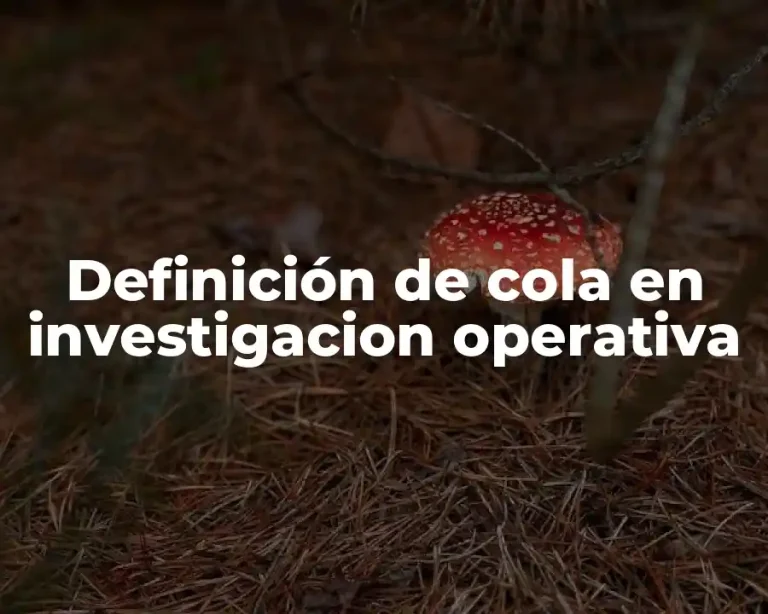 Definición de cola en investigacion operativa
