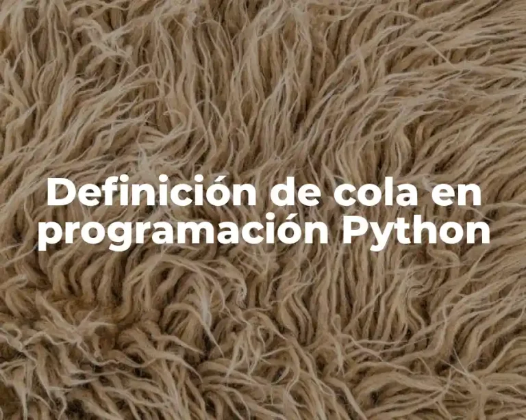 Definición de cola en programación Python