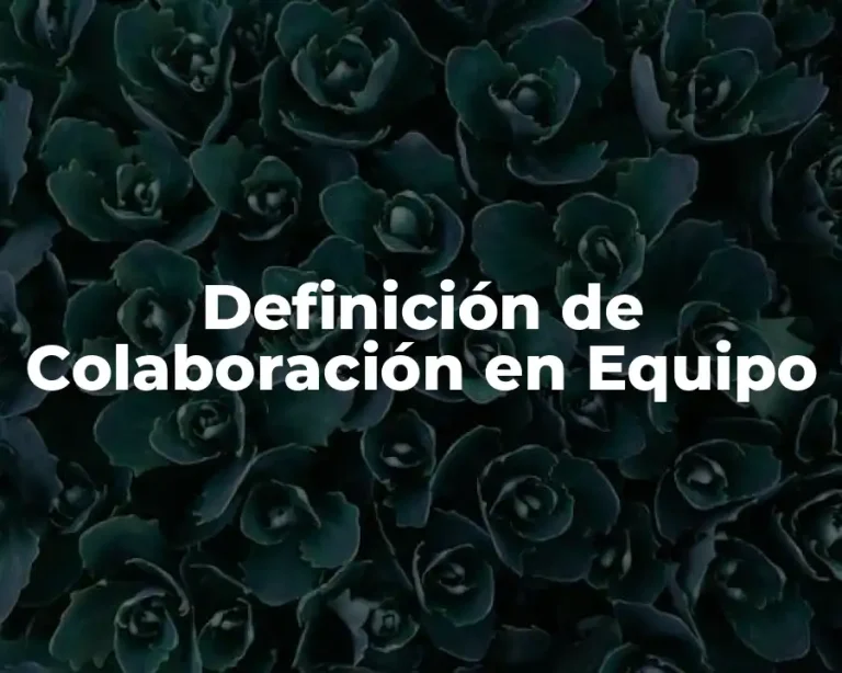 Definición de Colaboración en Equipo