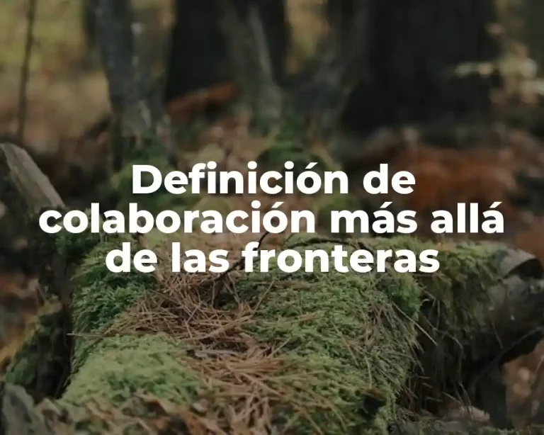 Definición de colaboración más allá de las fronteras