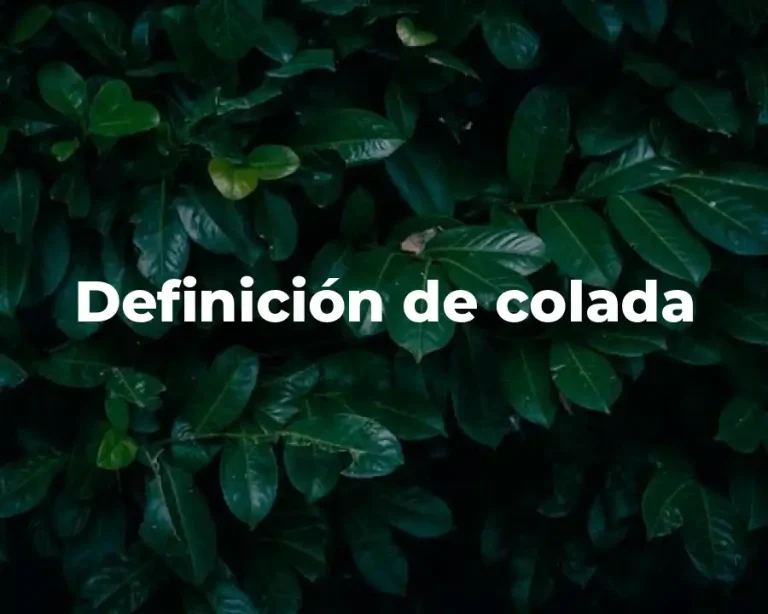 Definición de colada