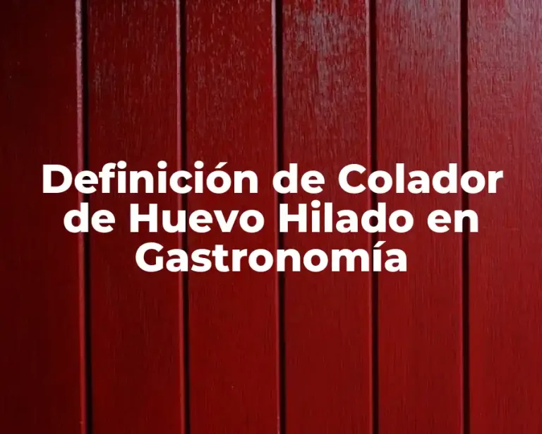 Definición de Colador de Huevo Hilado en Gastronomía