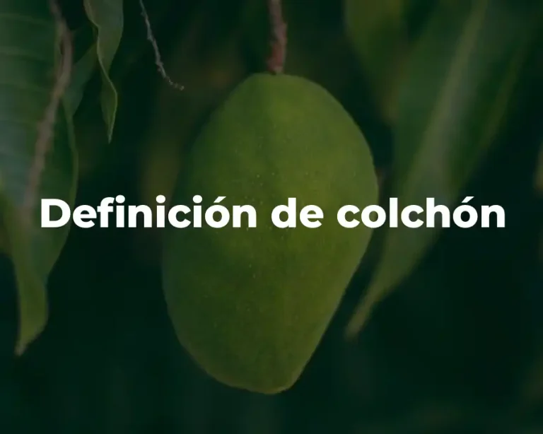 Definición de colchón