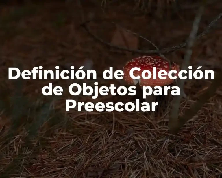 Definición de Colección de Objetos para Preescolar