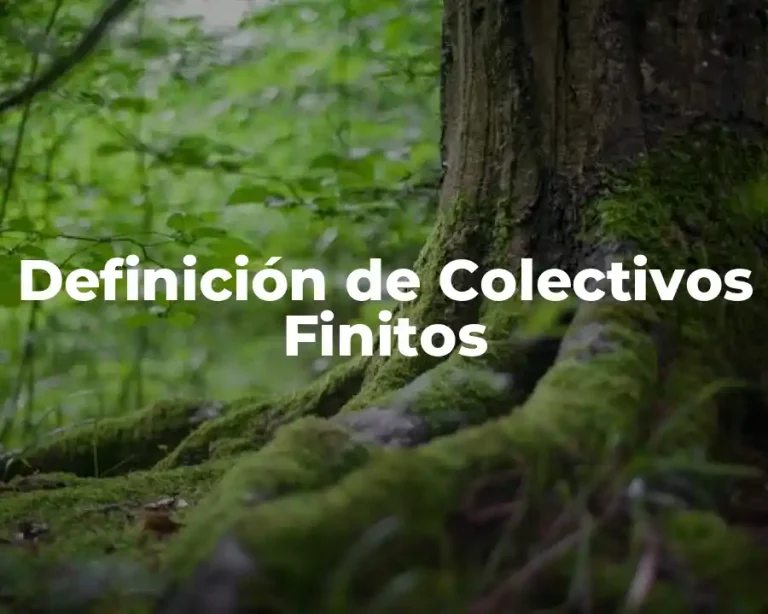 Definición de Colectivos Finitos