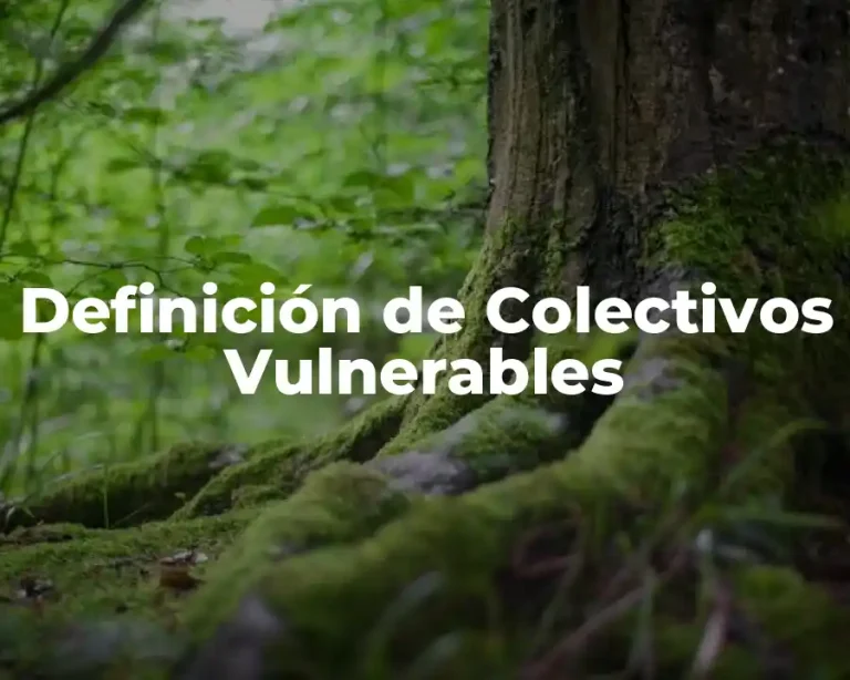 Definición de Colectivos Vulnerables