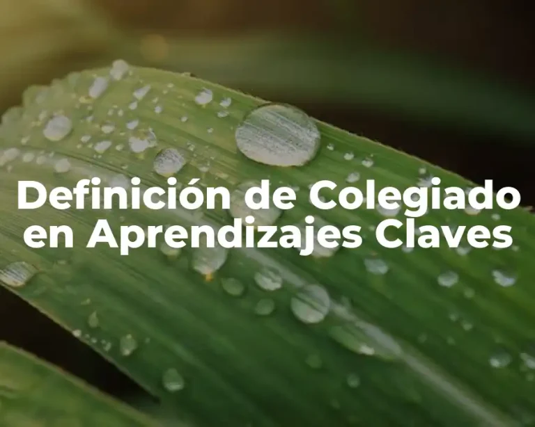 Definición de Colegiado en Aprendizajes Claves