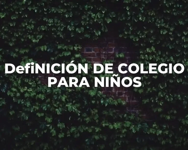 DefiNICIÓN DE COLEGIO PARA NIÑOS