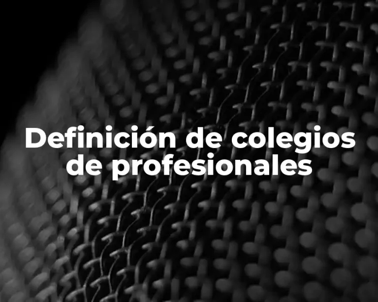 Definición de colegios de profesionales
