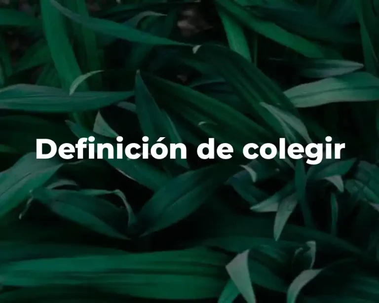 Definición de colegir