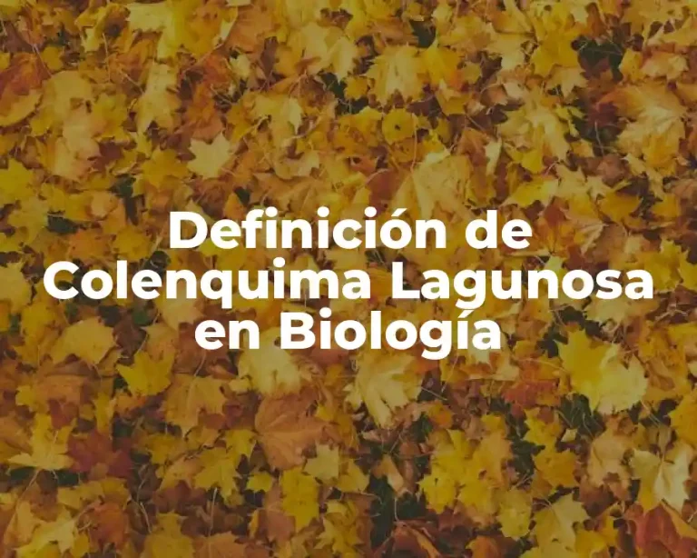 Definición de Colenquima Lagunosa en Biología