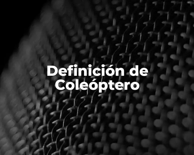 Definición de Coleóptero