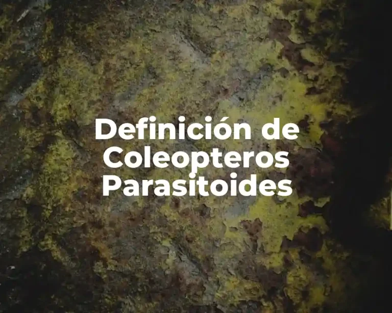 Definición de Coleopteros Parasitoides