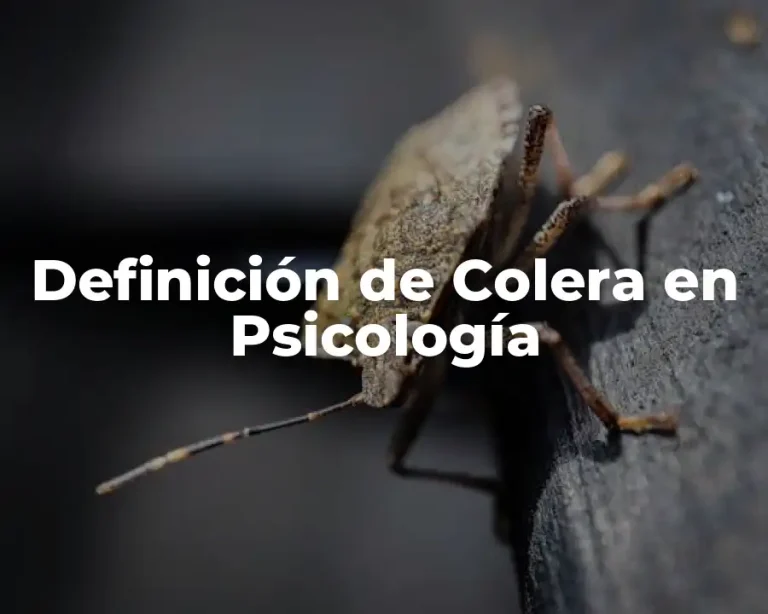 Definición de Colera en Psicología