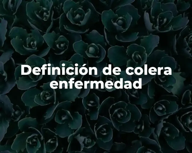Definición de colera enfermedad