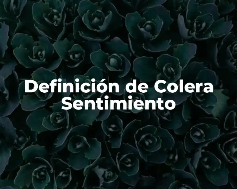 Definición de Colera Sentimiento