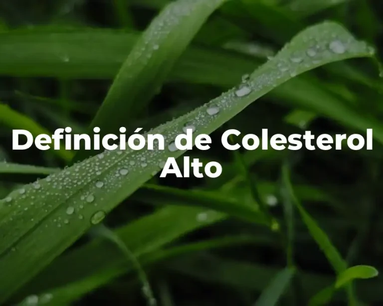 Definición de Colesterol Alto