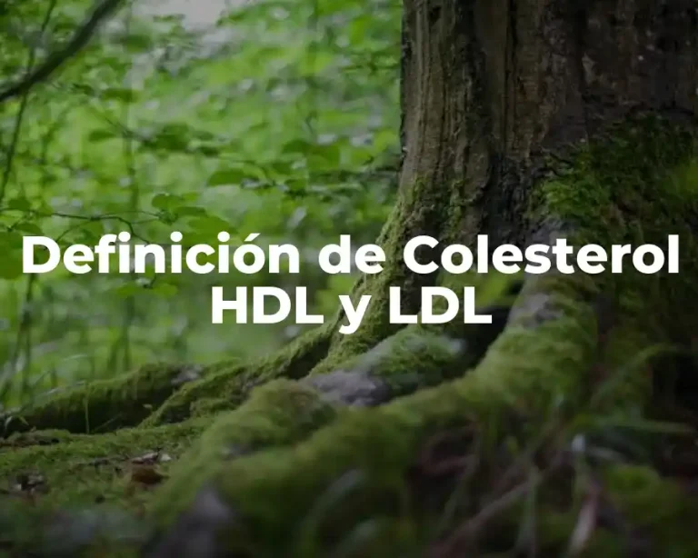 Definición de Colesterol HDL y LDL