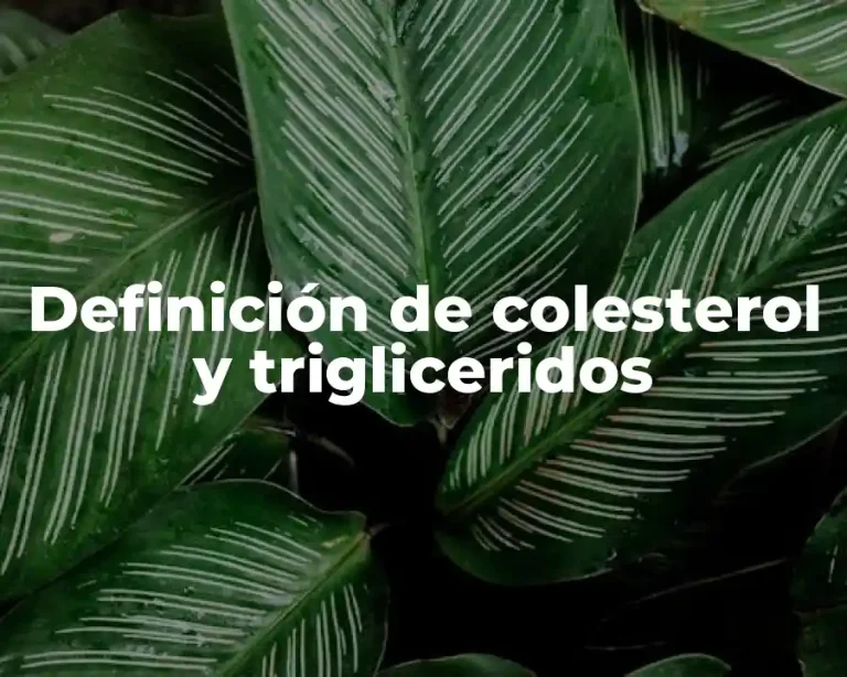 Definición de colesterol y trigliceridos
