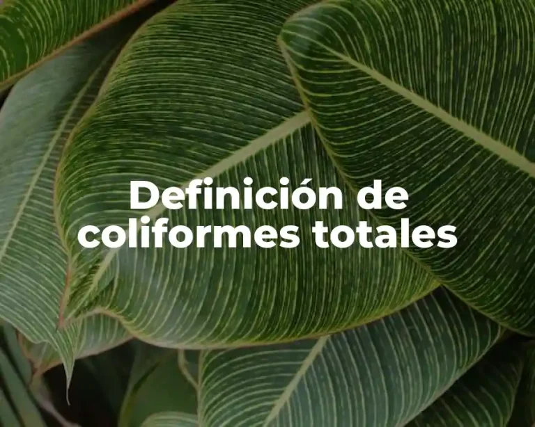 Definición de coliformes totales