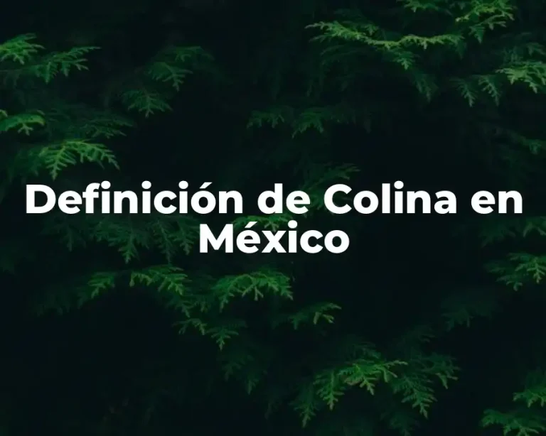 Definición de Colina en México