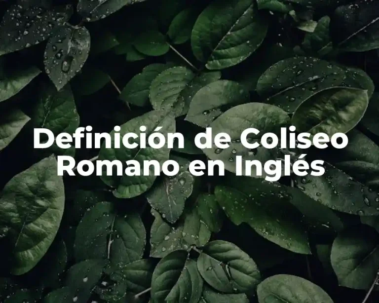 Definición de Coliseo Romano en Inglés