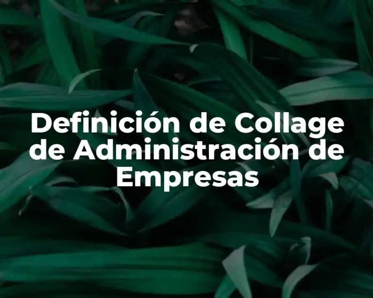 Definición de Collage de Administración de Empresas