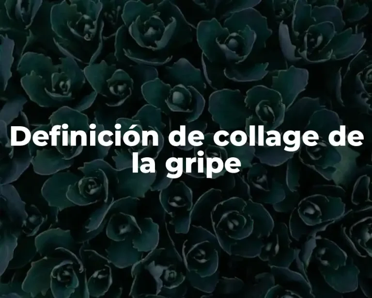 Definición de collage de la gripe