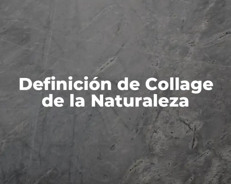 Definición de Collage de la Naturaleza