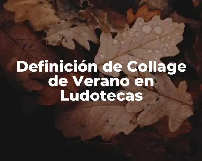 Definición de Collage de Verano en Ludotecas