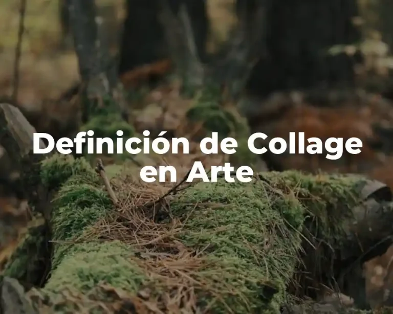 Definición de Collage en Arte