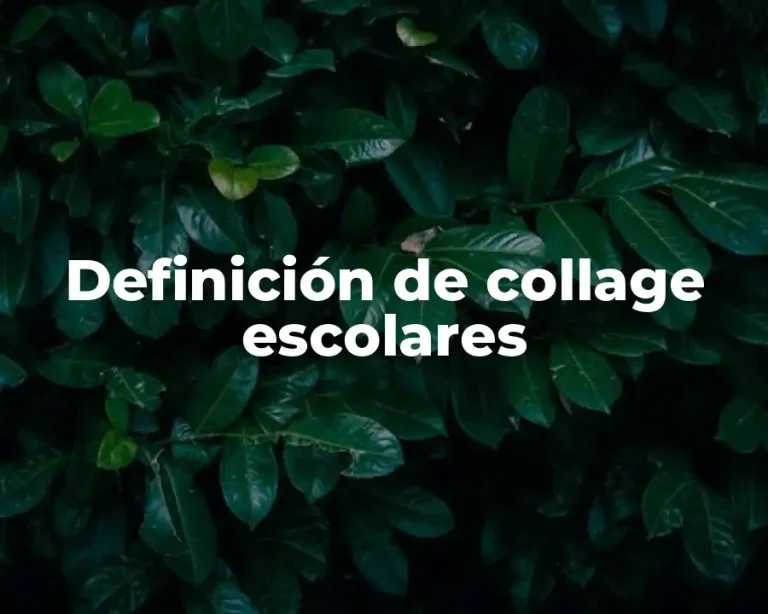 Definición de collage escolares