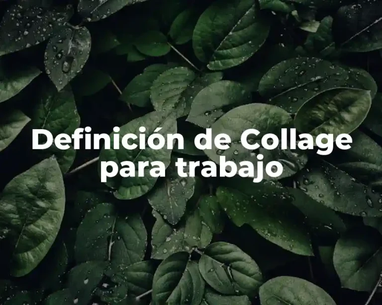 Definición de Collage para trabajo